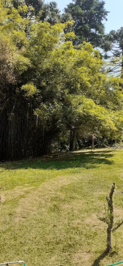 Pousada Pedacinho Do Ceu- Chale 1 Cunha Zewnętrze zdjęcie